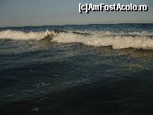 [P08]  -- <small>// FĂRĂ DESCRIERE</small> » foto by catahappy
 - 
<span class="allrVoted glyphicon glyphicon-heart hidden" id="av17752"></span>
<a class="m-l-10 hidden" id="sv17752" onclick="voting_Foto_DelVot(,17752,3329)" role="button">șterge vot <span class="glyphicon glyphicon-remove"></span></a>
<a id="v917752" class=" c-red"  onclick="voting_Foto_SetVot(17752)" role="button"><span class="glyphicon glyphicon-heart-empty"></span> <b>LIKE</b> = Votează poza</a> <img class="hidden"  id="f17752W9" src="/imagini/loader.gif" border="0" /><span class="AjErrMes hidden" id="e17752ErM"></span>