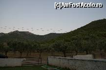 [P01] vedere din fata vilei,maslini cat vezi cu ochii » foto by cupcake*
 - 
<span class="allrVoted glyphicon glyphicon-heart hidden" id="av18690"></span>
<a class="m-l-10 hidden" id="sv18690" onclick="voting_Foto_DelVot(,18690,3359)" role="button">șterge vot <span class="glyphicon glyphicon-remove"></span></a>
<a id="v918690" class=" c-red"  onclick="voting_Foto_SetVot(18690)" role="button"><span class="glyphicon glyphicon-heart-empty"></span> <b>LIKE</b> = Votează poza</a> <img class="hidden"  id="f18690W9" src="/imagini/loader.gif" border="0" /><span class="AjErrMes hidden" id="e18690ErM"></span>