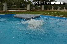 [P03] un colt de piscina » foto by cupcake*
 - 
<span class="allrVoted glyphicon glyphicon-heart hidden" id="av18692"></span>
<a class="m-l-10 hidden" id="sv18692" onclick="voting_Foto_DelVot(,18692,3359)" role="button">șterge vot <span class="glyphicon glyphicon-remove"></span></a>
<a id="v918692" class=" c-red"  onclick="voting_Foto_SetVot(18692)" role="button"><span class="glyphicon glyphicon-heart-empty"></span> <b>LIKE</b> = Votează poza</a> <img class="hidden"  id="f18692W9" src="/imagini/loader.gif" border="0" /><span class="AjErrMes hidden" id="e18692ErM"></span>