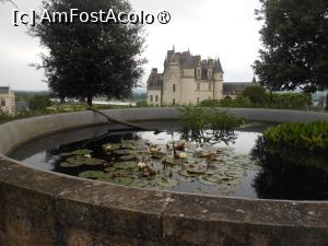 [P04] Castelul Amboise - În grădinile castelului. » foto by iulianic
 - 
<span class="allrVoted glyphicon glyphicon-heart hidden" id="av1473708"></span>
<a class="m-l-10 hidden" id="sv1473708" onclick="voting_Foto_DelVot(,1473708,3364)" role="button">șterge vot <span class="glyphicon glyphicon-remove"></span></a>
<a id="v91473708" class=" c-red"  onclick="voting_Foto_SetVot(1473708)" role="button"><span class="glyphicon glyphicon-heart-empty"></span> <b>LIKE</b> = Votează poza</a> <img class="hidden"  id="f1473708W9" src="/imagini/loader.gif" border="0" /><span class="AjErrMes hidden" id="e1473708ErM"></span>