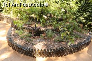 [P13] Alt intrand din gradina castelului. » foto by DanSta
 - 
<span class="allrVoted glyphicon glyphicon-heart hidden" id="av1175331"></span>
<a class="m-l-10 hidden" id="sv1175331" onclick="voting_Foto_DelVot(,1175331,3364)" role="button">șterge vot <span class="glyphicon glyphicon-remove"></span></a>
<a id="v91175331" class=" c-red"  onclick="voting_Foto_SetVot(1175331)" role="button"><span class="glyphicon glyphicon-heart-empty"></span> <b>LIKE</b> = Votează poza</a> <img class="hidden"  id="f1175331W9" src="/imagini/loader.gif" border="0" /><span class="AjErrMes hidden" id="e1175331ErM"></span>
