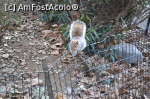 [P18] Se pare ca nu renunta, chiar crede ca am ceva de mancare la mine » foto by AZE
 - 
<span class="allrVoted glyphicon glyphicon-heart hidden" id="av786460"></span>
<a class="m-l-10 hidden" id="sv786460" onclick="voting_Foto_DelVot(,786460,3385)" role="button">șterge vot <span class="glyphicon glyphicon-remove"></span></a>
<a id="v9786460" class=" c-red"  onclick="voting_Foto_SetVot(786460)" role="button"><span class="glyphicon glyphicon-heart-empty"></span> <b>LIKE</b> = Votează poza</a> <img class="hidden"  id="f786460W9" src="/imagini/loader.gif" border="0" /><span class="AjErrMes hidden" id="e786460ErM"></span>