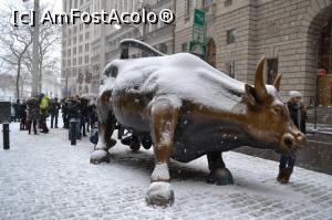 [P32] Charging Bull (toata lumea vrea sa faca selfie sau foto)  » foto by AZE
 - 
<span class="allrVoted glyphicon glyphicon-heart hidden" id="av797758"></span>
<a class="m-l-10 hidden" id="sv797758" onclick="voting_Foto_DelVot(,797758,3385)" role="button">șterge vot <span class="glyphicon glyphicon-remove"></span></a>
<a id="v9797758" class=" c-red"  onclick="voting_Foto_SetVot(797758)" role="button"><span class="glyphicon glyphicon-heart-empty"></span> <b>LIKE</b> = Votează poza</a> <img class="hidden"  id="f797758W9" src="/imagini/loader.gif" border="0" /><span class="AjErrMes hidden" id="e797758ErM"></span>