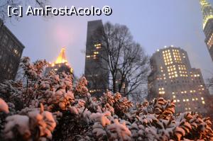 [P11] Madison Square Park-aici am văzut prima dată veverițe la NYC » foto by AZE
 - 
<span class="allrVoted glyphicon glyphicon-heart hidden" id="av935540"></span>
<a class="m-l-10 hidden" id="sv935540" onclick="voting_Foto_DelVot(,935540,3385)" role="button">șterge vot <span class="glyphicon glyphicon-remove"></span></a>
<a id="v9935540" class=" c-red"  onclick="voting_Foto_SetVot(935540)" role="button"><span class="glyphicon glyphicon-heart-empty"></span> <b>LIKE</b> = Votează poza</a> <img class="hidden"  id="f935540W9" src="/imagini/loader.gif" border="0" /><span class="AjErrMes hidden" id="e935540ErM"></span>