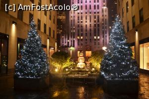 [P02] Brazii de crăciun din ghiveci de la Rockefeller Center » foto by AZE
 - 
<span class="allrVoted glyphicon glyphicon-heart hidden" id="av935531"></span>
<a class="m-l-10 hidden" id="sv935531" onclick="voting_Foto_DelVot(,935531,3385)" role="button">șterge vot <span class="glyphicon glyphicon-remove"></span></a>
<a id="v9935531" class=" c-red"  onclick="voting_Foto_SetVot(935531)" role="button"><span class="glyphicon glyphicon-heart-empty"></span> <b>LIKE</b> = Votează poza</a> <img class="hidden"  id="f935531W9" src="/imagini/loader.gif" border="0" /><span class="AjErrMes hidden" id="e935531ErM"></span>