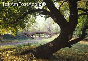 [P13] Un copac îndoit de bătrânețe!  » foto by ioan marinescu <span class="label label-default labelC_thin small">NEVOTABILĂ</span>