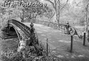 [P06] Unul din cele 32 de poduri din parc.  » foto by ioan marinescu <span class="label label-default labelC_thin small">NEVOTABILĂ</span>