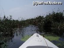 [P05] Cu barca pe unul din canalele inguste ale Deltei. » foto by Topor Elssa
 - 
<span class="allrVoted glyphicon glyphicon-heart hidden" id="av120699"></span>
<a class="m-l-10 hidden" id="sv120699" onclick="voting_Foto_DelVot(,120699,3389)" role="button">șterge vot <span class="glyphicon glyphicon-remove"></span></a>
<a id="v9120699" class=" c-red"  onclick="voting_Foto_SetVot(120699)" role="button"><span class="glyphicon glyphicon-heart-empty"></span> <b>LIKE</b> = Votează poza</a> <img class="hidden"  id="f120699W9" src="/imagini/loader.gif" border="0" /><span class="AjErrMes hidden" id="e120699ErM"></span>