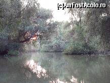 [P07] Apus de soare pe unul din canalele Deltei, langa Uzlina. » foto by Topor Elssa
 - 
<span class="allrVoted glyphicon glyphicon-heart hidden" id="av120702"></span>
<a class="m-l-10 hidden" id="sv120702" onclick="voting_Foto_DelVot(,120702,3389)" role="button">șterge vot <span class="glyphicon glyphicon-remove"></span></a>
<a id="v9120702" class=" c-red"  onclick="voting_Foto_SetVot(120702)" role="button"><span class="glyphicon glyphicon-heart-empty"></span> <b>LIKE</b> = Votează poza</a> <img class="hidden"  id="f120702W9" src="/imagini/loader.gif" border="0" /><span class="AjErrMes hidden" id="e120702ErM"></span>