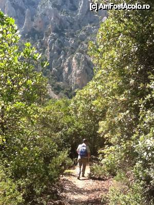 [P14] in drumetie spre canion » foto by edith simon
 - 
<span class="allrVoted glyphicon glyphicon-heart hidden" id="av501877"></span>
<a class="m-l-10 hidden" id="sv501877" onclick="voting_Foto_DelVot(,501877,3391)" role="button">șterge vot <span class="glyphicon glyphicon-remove"></span></a>
<a id="v9501877" class=" c-red"  onclick="voting_Foto_SetVot(501877)" role="button"><span class="glyphicon glyphicon-heart-empty"></span> <b>LIKE</b> = Votează poza</a> <img class="hidden"  id="f501877W9" src="/imagini/loader.gif" border="0" /><span class="AjErrMes hidden" id="e501877ErM"></span>