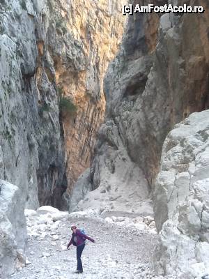 [P15] am ajuns in canion » foto by edith simon
 - 
<span class="allrVoted glyphicon glyphicon-heart hidden" id="av501878"></span>
<a class="m-l-10 hidden" id="sv501878" onclick="voting_Foto_DelVot(,501878,3391)" role="button">șterge vot <span class="glyphicon glyphicon-remove"></span></a>
<a id="v9501878" class=" c-red"  onclick="voting_Foto_SetVot(501878)" role="button"><span class="glyphicon glyphicon-heart-empty"></span> <b>LIKE</b> = Votează poza</a> <img class="hidden"  id="f501878W9" src="/imagini/loader.gif" border="0" /><span class="AjErrMes hidden" id="e501878ErM"></span>