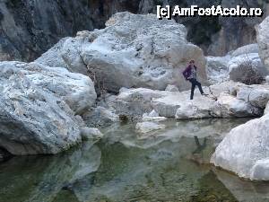 [P16] 'pietricele' reflectate in apa cristalina » foto by edith simon
 - 
<span class="allrVoted glyphicon glyphicon-heart hidden" id="av501879"></span>
<a class="m-l-10 hidden" id="sv501879" onclick="voting_Foto_DelVot(,501879,3391)" role="button">șterge vot <span class="glyphicon glyphicon-remove"></span></a>
<a id="v9501879" class=" c-red"  onclick="voting_Foto_SetVot(501879)" role="button"><span class="glyphicon glyphicon-heart-empty"></span> <b>LIKE</b> = Votează poza</a> <img class="hidden"  id="f501879W9" src="/imagini/loader.gif" border="0" /><span class="AjErrMes hidden" id="e501879ErM"></span>