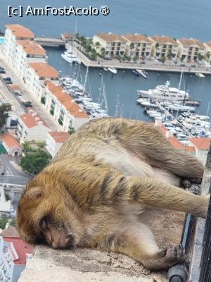 [P14]  -- <small>// FĂRĂ DESCRIERE</small> » foto by Maya_C
 - 
<span class="allrVoted glyphicon glyphicon-heart hidden" id="av1507242"></span>
<a class="m-l-10 hidden" id="sv1507242" onclick="voting_Foto_DelVot(,1507242,3397)" role="button">șterge vot <span class="glyphicon glyphicon-remove"></span></a>
<a id="v91507242" class=" c-red"  onclick="voting_Foto_SetVot(1507242)" role="button"><span class="glyphicon glyphicon-heart-empty"></span> <b>LIKE</b> = Votează poza</a> <img class="hidden"  id="f1507242W9" src="/imagini/loader.gif" border="0" /><span class="AjErrMes hidden" id="e1507242ErM"></span>