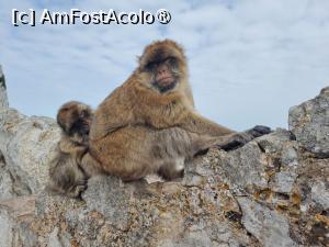 [P28]  -- <small>// FĂRĂ DESCRIERE</small> » foto by Maya_C
 - 
<span class="allrVoted glyphicon glyphicon-heart hidden" id="av1507256"></span>
<a class="m-l-10 hidden" id="sv1507256" onclick="voting_Foto_DelVot(,1507256,3397)" role="button">șterge vot <span class="glyphicon glyphicon-remove"></span></a>
<a id="v91507256" class=" c-red"  onclick="voting_Foto_SetVot(1507256)" role="button"><span class="glyphicon glyphicon-heart-empty"></span> <b>LIKE</b> = Votează poza</a> <img class="hidden"  id="f1507256W9" src="/imagini/loader.gif" border="0" /><span class="AjErrMes hidden" id="e1507256ErM"></span>