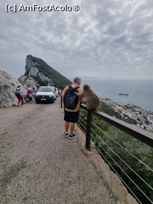 [P31]  -- <small>// FĂRĂ DESCRIERE</small> » foto by Maya_C
 - 
<span class="allrVoted glyphicon glyphicon-heart hidden" id="av1507259"></span>
<a class="m-l-10 hidden" id="sv1507259" onclick="voting_Foto_DelVot(,1507259,3397)" role="button">șterge vot <span class="glyphicon glyphicon-remove"></span></a>
<a id="v91507259" class=" c-red"  onclick="voting_Foto_SetVot(1507259)" role="button"><span class="glyphicon glyphicon-heart-empty"></span> <b>LIKE</b> = Votează poza</a> <img class="hidden"  id="f1507259W9" src="/imagini/loader.gif" border="0" /><span class="AjErrMes hidden" id="e1507259ErM"></span>