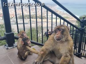 [P06]  -- <small>// FĂRĂ DESCRIERE</small> » foto by Maya_C
 - 
<span class="allrVoted glyphicon glyphicon-heart hidden" id="av1507234"></span>
<a class="m-l-10 hidden" id="sv1507234" onclick="voting_Foto_DelVot(,1507234,3397)" role="button">șterge vot <span class="glyphicon glyphicon-remove"></span></a>
<a id="v91507234" class=" c-red"  onclick="voting_Foto_SetVot(1507234)" role="button"><span class="glyphicon glyphicon-heart-empty"></span> <b>LIKE</b> = Votează poza</a> <img class="hidden"  id="f1507234W9" src="/imagini/loader.gif" border="0" /><span class="AjErrMes hidden" id="e1507234ErM"></span>