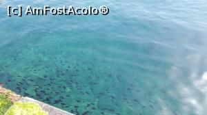 [P33] La tarm!  » foto by adrianaglogo
 - 
<span class="allrVoted glyphicon glyphicon-heart hidden" id="av982210"></span>
<a class="m-l-10 hidden" id="sv982210" onclick="voting_Foto_DelVot(,982210,3405)" role="button">șterge vot <span class="glyphicon glyphicon-remove"></span></a>
<a id="v9982210" class=" c-red"  onclick="voting_Foto_SetVot(982210)" role="button"><span class="glyphicon glyphicon-heart-empty"></span> <b>LIKE</b> = Votează poza</a> <img class="hidden"  id="f982210W9" src="/imagini/loader.gif" border="0" /><span class="AjErrMes hidden" id="e982210ErM"></span>