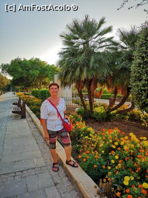 [P17] parc din Valletta » foto by crisa04
 - 
<span class="allrVoted glyphicon glyphicon-heart hidden" id="av1008556"></span>
<a class="m-l-10 hidden" id="sv1008556" onclick="voting_Foto_DelVot(,1008556,3405)" role="button">șterge vot <span class="glyphicon glyphicon-remove"></span></a>
<a id="v91008556" class=" c-red"  onclick="voting_Foto_SetVot(1008556)" role="button"><span class="glyphicon glyphicon-heart-empty"></span> <b>LIKE</b> = Votează poza</a> <img class="hidden"  id="f1008556W9" src="/imagini/loader.gif" border="0" /><span class="AjErrMes hidden" id="e1008556ErM"></span>