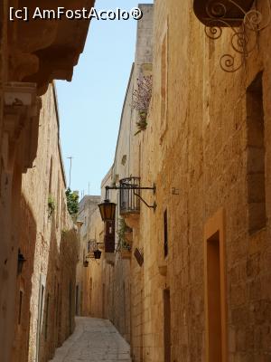 [P06] strada Mdina » foto by crisa04
 - 
<span class="allrVoted glyphicon glyphicon-heart hidden" id="av1008537"></span>
<a class="m-l-10 hidden" id="sv1008537" onclick="voting_Foto_DelVot(,1008537,3405)" role="button">șterge vot <span class="glyphicon glyphicon-remove"></span></a>
<a id="v91008537" class=" c-red"  onclick="voting_Foto_SetVot(1008537)" role="button"><span class="glyphicon glyphicon-heart-empty"></span> <b>LIKE</b> = Votează poza</a> <img class="hidden"  id="f1008537W9" src="/imagini/loader.gif" border="0" /><span class="AjErrMes hidden" id="e1008537ErM"></span>