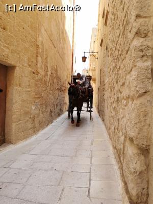 [P07] caleasca Mdina » foto by crisa04
 - 
<span class="allrVoted glyphicon glyphicon-heart hidden" id="av1008538"></span>
<a class="m-l-10 hidden" id="sv1008538" onclick="voting_Foto_DelVot(,1008538,3405)" role="button">șterge vot <span class="glyphicon glyphicon-remove"></span></a>
<a id="v91008538" class=" c-red"  onclick="voting_Foto_SetVot(1008538)" role="button"><span class="glyphicon glyphicon-heart-empty"></span> <b>LIKE</b> = Votează poza</a> <img class="hidden"  id="f1008538W9" src="/imagini/loader.gif" border="0" /><span class="AjErrMes hidden" id="e1008538ErM"></span>