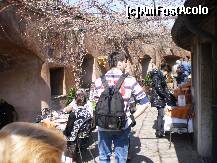 [P13] Restaurantul de pe Castel » foto by kathy15
 - 
<span class="allrVoted glyphicon glyphicon-heart hidden" id="av196046"></span>
<a class="m-l-10 hidden" id="sv196046" onclick="voting_Foto_DelVot(,196046,3406)" role="button">șterge vot <span class="glyphicon glyphicon-remove"></span></a>
<a id="v9196046" class=" c-red"  onclick="voting_Foto_SetVot(196046)" role="button"><span class="glyphicon glyphicon-heart-empty"></span> <b>LIKE</b> = Votează poza</a> <img class="hidden"  id="f196046W9" src="/imagini/loader.gif" border="0" /><span class="AjErrMes hidden" id="e196046ErM"></span>