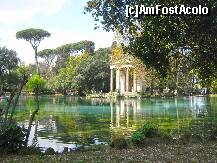 [P17] Lacul superb din Villa Borghese » foto by kathy15
 - 
<span class="allrVoted glyphicon glyphicon-heart hidden" id="av196050"></span>
<a class="m-l-10 hidden" id="sv196050" onclick="voting_Foto_DelVot(,196050,3406)" role="button">șterge vot <span class="glyphicon glyphicon-remove"></span></a>
<a id="v9196050" class=" c-red"  onclick="voting_Foto_SetVot(196050)" role="button"><span class="glyphicon glyphicon-heart-empty"></span> <b>LIKE</b> = Votează poza</a> <img class="hidden"  id="f196050W9" src="/imagini/loader.gif" border="0" /><span class="AjErrMes hidden" id="e196050ErM"></span>