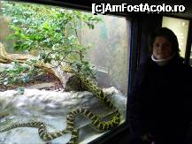 [P12] La reptilarium...fel de fel de serpi si de soparle.

Atentie ca misca!!! » foto by TraianS
 - 
<span class="allrVoted glyphicon glyphicon-heart hidden" id="av181006"></span>
<a class="m-l-10 hidden" id="sv181006" onclick="voting_Foto_DelVot(,181006,3406)" role="button">șterge vot <span class="glyphicon glyphicon-remove"></span></a>
<a id="v9181006" class=" c-red"  onclick="voting_Foto_SetVot(181006)" role="button"><span class="glyphicon glyphicon-heart-empty"></span> <b>LIKE</b> = Votează poza</a> <img class="hidden"  id="f181006W9" src="/imagini/loader.gif" border="0" /><span class="AjErrMes hidden" id="e181006ErM"></span>