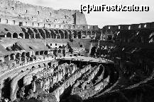 [P02]  -- <small>// FĂRĂ DESCRIERE</small> » foto by cristinook
 - 
<span class="allrVoted glyphicon glyphicon-heart hidden" id="av187175"></span>
<a class="m-l-10 hidden" id="sv187175" onclick="voting_Foto_DelVot(,187175,3406)" role="button">șterge vot <span class="glyphicon glyphicon-remove"></span></a>
<a id="v9187175" class=" c-red"  onclick="voting_Foto_SetVot(187175)" role="button"><span class="glyphicon glyphicon-heart-empty"></span> <b>LIKE</b> = Votează poza</a> <img class="hidden"  id="f187175W9" src="/imagini/loader.gif" border="0" /><span class="AjErrMes hidden" id="e187175ErM"></span>