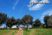 [P14]  -- <small>// FĂRĂ DESCRIERE</small> » foto by Dan Sova
 - 
<span class="allrVoted glyphicon glyphicon-heart hidden" id="av193978"></span>
<a class="m-l-10 hidden" id="sv193978" onclick="voting_Foto_DelVot(,193978,3406)" role="button">șterge vot <span class="glyphicon glyphicon-remove"></span></a>
<a id="v9193978" class=" c-red"  onclick="voting_Foto_SetVot(193978)" role="button"><span class="glyphicon glyphicon-heart-empty"></span> <b>LIKE</b> = Votează poza</a> <img class="hidden"  id="f193978W9" src="/imagini/loader.gif" border="0" /><span class="AjErrMes hidden" id="e193978ErM"></span>