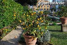 [P15]  -- <small>// FĂRĂ DESCRIERE</small> » foto by Dan Sova
 - 
<span class="allrVoted glyphicon glyphicon-heart hidden" id="av193982"></span>
<a class="m-l-10 hidden" id="sv193982" onclick="voting_Foto_DelVot(,193982,3406)" role="button">șterge vot <span class="glyphicon glyphicon-remove"></span></a>
<a id="v9193982" class=" c-red"  onclick="voting_Foto_SetVot(193982)" role="button"><span class="glyphicon glyphicon-heart-empty"></span> <b>LIKE</b> = Votează poza</a> <img class="hidden"  id="f193982W9" src="/imagini/loader.gif" border="0" /><span class="AjErrMes hidden" id="e193982ErM"></span>