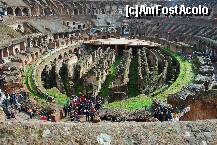 [P08]  -- <small>// FĂRĂ DESCRIERE</small> » foto by Dan Sova
 - 
<span class="allrVoted glyphicon glyphicon-heart hidden" id="av193932"></span>
<a class="m-l-10 hidden" id="sv193932" onclick="voting_Foto_DelVot(,193932,3406)" role="button">șterge vot <span class="glyphicon glyphicon-remove"></span></a>
<a id="v9193932" class=" c-red"  onclick="voting_Foto_SetVot(193932)" role="button"><span class="glyphicon glyphicon-heart-empty"></span> <b>LIKE</b> = Votează poza</a> <img class="hidden"  id="f193932W9" src="/imagini/loader.gif" border="0" /><span class="AjErrMes hidden" id="e193932ErM"></span>