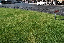 [P30] Z2: Gazonul din fata monumentului are mici surprize » foto by gophren
 - 
<span class="allrVoted glyphicon glyphicon-heart hidden" id="av201971"></span>
<a class="m-l-10 hidden" id="sv201971" onclick="voting_Foto_DelVot(,201971,3406)" role="button">șterge vot <span class="glyphicon glyphicon-remove"></span></a>
<a id="v9201971" class=" c-red"  onclick="voting_Foto_SetVot(201971)" role="button"><span class="glyphicon glyphicon-heart-empty"></span> <b>LIKE</b> = Votează poza</a> <img class="hidden"  id="f201971W9" src="/imagini/loader.gif" border="0" /><span class="AjErrMes hidden" id="e201971ErM"></span>