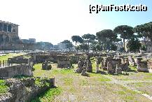 [P35] Z2: Vedere spre Foro Augusto si Foro Nerva » foto by gophren
 - 
<span class="allrVoted glyphicon glyphicon-heart hidden" id="av201986"></span>
<a class="m-l-10 hidden" id="sv201986" onclick="voting_Foto_DelVot(,201986,3406)" role="button">șterge vot <span class="glyphicon glyphicon-remove"></span></a>
<a id="v9201986" class=" c-red"  onclick="voting_Foto_SetVot(201986)" role="button"><span class="glyphicon glyphicon-heart-empty"></span> <b>LIKE</b> = Votează poza</a> <img class="hidden"  id="f201986W9" src="/imagini/loader.gif" border="0" /><span class="AjErrMes hidden" id="e201986ErM"></span>