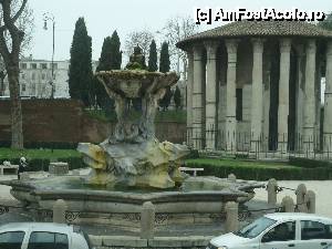 [P13] Roma văzută din autobuz » foto by marocanu21
 - 
<span class="allrVoted glyphicon glyphicon-heart hidden" id="av483149"></span>
<a class="m-l-10 hidden" id="sv483149" onclick="voting_Foto_DelVot(,483149,3406)" role="button">șterge vot <span class="glyphicon glyphicon-remove"></span></a>
<a id="v9483149" class=" c-red"  onclick="voting_Foto_SetVot(483149)" role="button"><span class="glyphicon glyphicon-heart-empty"></span> <b>LIKE</b> = Votează poza</a> <img class="hidden"  id="f483149W9" src="/imagini/loader.gif" border="0" /><span class="AjErrMes hidden" id="e483149ErM"></span>