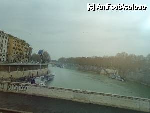 [P21] Tibru » foto by marocanu21
 - 
<span class="allrVoted glyphicon glyphicon-heart hidden" id="av483157"></span>
<a class="m-l-10 hidden" id="sv483157" onclick="voting_Foto_DelVot(,483157,3406)" role="button">șterge vot <span class="glyphicon glyphicon-remove"></span></a>
<a id="v9483157" class=" c-red"  onclick="voting_Foto_SetVot(483157)" role="button"><span class="glyphicon glyphicon-heart-empty"></span> <b>LIKE</b> = Votează poza</a> <img class="hidden"  id="f483157W9" src="/imagini/loader.gif" border="0" /><span class="AjErrMes hidden" id="e483157ErM"></span>