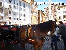 [P10] trăsură în faţa Pantheonului » foto by marocanu21
 - 
<span class="allrVoted glyphicon glyphicon-heart hidden" id="av487205"></span>
<a class="m-l-10 hidden" id="sv487205" onclick="voting_Foto_DelVot(,487205,3406)" role="button">șterge vot <span class="glyphicon glyphicon-remove"></span></a>
<a id="v9487205" class=" c-red"  onclick="voting_Foto_SetVot(487205)" role="button"><span class="glyphicon glyphicon-heart-empty"></span> <b>LIKE</b> = Votează poza</a> <img class="hidden"  id="f487205W9" src="/imagini/loader.gif" border="0" /><span class="AjErrMes hidden" id="e487205ErM"></span>