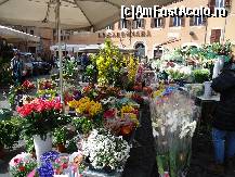 [P29] piaţa de flori » foto by marocanu21
 - 
<span class="allrVoted glyphicon glyphicon-heart hidden" id="av487229"></span>
<a class="m-l-10 hidden" id="sv487229" onclick="voting_Foto_DelVot(,487229,3406)" role="button">șterge vot <span class="glyphicon glyphicon-remove"></span></a>
<a id="v9487229" class=" c-red"  onclick="voting_Foto_SetVot(487229)" role="button"><span class="glyphicon glyphicon-heart-empty"></span> <b>LIKE</b> = Votează poza</a> <img class="hidden"  id="f487229W9" src="/imagini/loader.gif" border="0" /><span class="AjErrMes hidden" id="e487229ErM"></span>