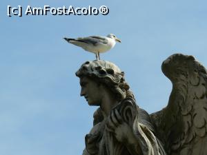 [P12] Statuie de pe podul San Angelo » foto by Xander
 - 
<span class="allrVoted glyphicon glyphicon-heart hidden" id="av759696"></span>
<a class="m-l-10 hidden" id="sv759696" onclick="voting_Foto_DelVot(,759696,3406)" role="button">șterge vot <span class="glyphicon glyphicon-remove"></span></a>
<a id="v9759696" class=" c-red"  onclick="voting_Foto_SetVot(759696)" role="button"><span class="glyphicon glyphicon-heart-empty"></span> <b>LIKE</b> = Votează poza</a> <img class="hidden"  id="f759696W9" src="/imagini/loader.gif" border="0" /><span class="AjErrMes hidden" id="e759696ErM"></span>