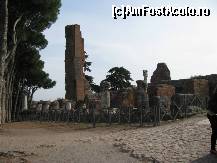 [P72] Forum » foto by cristi_an3000
 - 
<span class="allrVoted glyphicon glyphicon-heart hidden" id="av151007"></span>
<a class="m-l-10 hidden" id="sv151007" onclick="voting_Foto_DelVot(,151007,3406)" role="button">șterge vot <span class="glyphicon glyphicon-remove"></span></a>
<a id="v9151007" class=" c-red"  onclick="voting_Foto_SetVot(151007)" role="button"><span class="glyphicon glyphicon-heart-empty"></span> <b>LIKE</b> = Votează poza</a> <img class="hidden"  id="f151007W9" src="/imagini/loader.gif" border="0" /><span class="AjErrMes hidden" id="e151007ErM"></span>