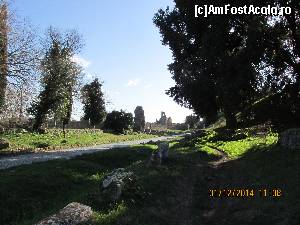 [P04] cu cit inaintezi mai mult cu atit nu te induri sa te intorci » foto by adri-nico
 - 
<span class="allrVoted glyphicon glyphicon-heart hidden" id="av584361"></span>
<a class="m-l-10 hidden" id="sv584361" onclick="voting_Foto_DelVot(,584361,3406)" role="button">șterge vot <span class="glyphicon glyphicon-remove"></span></a>
<a id="v9584361" class=" c-red"  onclick="voting_Foto_SetVot(584361)" role="button"><span class="glyphicon glyphicon-heart-empty"></span> <b>LIKE</b> = Votează poza</a> <img class="hidden"  id="f584361W9" src="/imagini/loader.gif" border="0" /><span class="AjErrMes hidden" id="e584361ErM"></span>