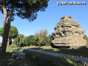 [P05] un fel de Sfinx de-al lor » foto by adri-nico
 - 
<span class="allrVoted glyphicon glyphicon-heart hidden" id="av584362"></span>
<a class="m-l-10 hidden" id="sv584362" onclick="voting_Foto_DelVot(,584362,3406)" role="button">șterge vot <span class="glyphicon glyphicon-remove"></span></a>
<a id="v9584362" class=" c-red"  onclick="voting_Foto_SetVot(584362)" role="button"><span class="glyphicon glyphicon-heart-empty"></span> <b>LIKE</b> = Votează poza</a> <img class="hidden"  id="f584362W9" src="/imagini/loader.gif" border="0" /><span class="AjErrMes hidden" id="e584362ErM"></span>