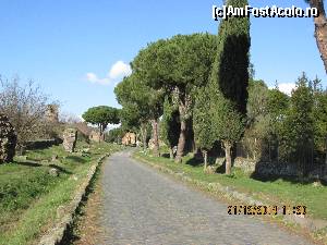 [P06] verdeata si frumusete!  » foto by adri-nico
 - 
<span class="allrVoted glyphicon glyphicon-heart hidden" id="av584363"></span>
<a class="m-l-10 hidden" id="sv584363" onclick="voting_Foto_DelVot(,584363,3406)" role="button">șterge vot <span class="glyphicon glyphicon-remove"></span></a>
<a id="v9584363" class=" c-red"  onclick="voting_Foto_SetVot(584363)" role="button"><span class="glyphicon glyphicon-heart-empty"></span> <b>LIKE</b> = Votează poza</a> <img class="hidden"  id="f584363W9" src="/imagini/loader.gif" border="0" /><span class="AjErrMes hidden" id="e584363ErM"></span>