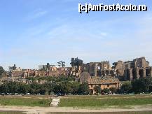 [P12] Circus Maximus » foto by diana-s
 - 
<span class="allrVoted glyphicon glyphicon-heart hidden" id="av300497"></span>
<a class="m-l-10 hidden" id="sv300497" onclick="voting_Foto_DelVot(,300497,3406)" role="button">șterge vot <span class="glyphicon glyphicon-remove"></span></a>
<a id="v9300497" class=" c-red"  onclick="voting_Foto_SetVot(300497)" role="button"><span class="glyphicon glyphicon-heart-empty"></span> <b>LIKE</b> = Votează poza</a> <img class="hidden"  id="f300497W9" src="/imagini/loader.gif" border="0" /><span class="AjErrMes hidden" id="e300497ErM"></span>