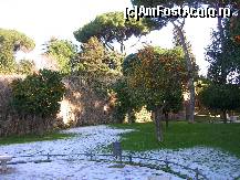 [P15] Urme de zapada in gradina cu portocali » foto by diana-s
 - 
<span class="allrVoted glyphicon glyphicon-heart hidden" id="av300501"></span>
<a class="m-l-10 hidden" id="sv300501" onclick="voting_Foto_DelVot(,300501,3406)" role="button">șterge vot <span class="glyphicon glyphicon-remove"></span></a>
<a id="v9300501" class=" c-red"  onclick="voting_Foto_SetVot(300501)" role="button"><span class="glyphicon glyphicon-heart-empty"></span> <b>LIKE</b> = Votează poza</a> <img class="hidden"  id="f300501W9" src="/imagini/loader.gif" border="0" /><span class="AjErrMes hidden" id="e300501ErM"></span>