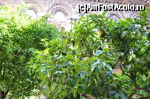 [P06] Lamai roditori in curtea interioara a muzeului Doria Pamphilj » foto by Muffin2009*
 - 
<span class="allrVoted glyphicon glyphicon-heart hidden" id="av323263"></span>
<a class="m-l-10 hidden" id="sv323263" onclick="voting_Foto_DelVot(,323263,3406)" role="button">șterge vot <span class="glyphicon glyphicon-remove"></span></a>
<a id="v9323263" class=" c-red"  onclick="voting_Foto_SetVot(323263)" role="button"><span class="glyphicon glyphicon-heart-empty"></span> <b>LIKE</b> = Votează poza</a> <img class="hidden"  id="f323263W9" src="/imagini/loader.gif" border="0" /><span class="AjErrMes hidden" id="e323263ErM"></span>