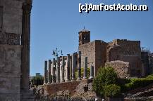 [P34] Templul Venerei si al Romei vazut din Colosseum » foto by Muffin2009*
 - 
<span class="allrVoted glyphicon glyphicon-heart hidden" id="av325027"></span>
<a class="m-l-10 hidden" id="sv325027" onclick="voting_Foto_DelVot(,325027,3406)" role="button">șterge vot <span class="glyphicon glyphicon-remove"></span></a>
<a id="v9325027" class=" c-red"  onclick="voting_Foto_SetVot(325027)" role="button"><span class="glyphicon glyphicon-heart-empty"></span> <b>LIKE</b> = Votează poza</a> <img class="hidden"  id="f325027W9" src="/imagini/loader.gif" border="0" /><span class="AjErrMes hidden" id="e325027ErM"></span>