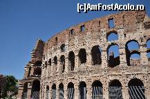 [P35] Colosseumul, partea cu iesirea » foto by Muffin2009*
 - 
<span class="allrVoted glyphicon glyphicon-heart hidden" id="av325028"></span>
<a class="m-l-10 hidden" id="sv325028" onclick="voting_Foto_DelVot(,325028,3406)" role="button">șterge vot <span class="glyphicon glyphicon-remove"></span></a>
<a id="v9325028" class=" c-red"  onclick="voting_Foto_SetVot(325028)" role="button"><span class="glyphicon glyphicon-heart-empty"></span> <b>LIKE</b> = Votează poza</a> <img class="hidden"  id="f325028W9" src="/imagini/loader.gif" border="0" /><span class="AjErrMes hidden" id="e325028ErM"></span>