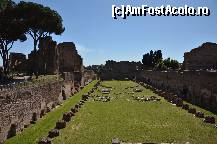 [P40] Stadionul Palatin aflat sus pe Coloana Palatina » foto by Muffin2009*
 - 
<span class="allrVoted glyphicon glyphicon-heart hidden" id="av325033"></span>
<a class="m-l-10 hidden" id="sv325033" onclick="voting_Foto_DelVot(,325033,3406)" role="button">șterge vot <span class="glyphicon glyphicon-remove"></span></a>
<a id="v9325033" class=" c-red"  onclick="voting_Foto_SetVot(325033)" role="button"><span class="glyphicon glyphicon-heart-empty"></span> <b>LIKE</b> = Votează poza</a> <img class="hidden"  id="f325033W9" src="/imagini/loader.gif" border="0" /><span class="AjErrMes hidden" id="e325033ErM"></span>
