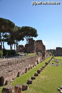 [P41] Stadionul Palatin aflat sus pe Coloana Palatina » foto by Muffin2009*
 - 
<span class="allrVoted glyphicon glyphicon-heart hidden" id="av325034"></span>
<a class="m-l-10 hidden" id="sv325034" onclick="voting_Foto_DelVot(,325034,3406)" role="button">șterge vot <span class="glyphicon glyphicon-remove"></span></a>
<a id="v9325034" class=" c-red"  onclick="voting_Foto_SetVot(325034)" role="button"><span class="glyphicon glyphicon-heart-empty"></span> <b>LIKE</b> = Votează poza</a> <img class="hidden"  id="f325034W9" src="/imagini/loader.gif" border="0" /><span class="AjErrMes hidden" id="e325034ErM"></span>