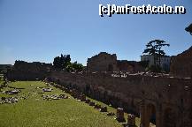 [P42] Stadionul Palatin » foto by Muffin2009*
 - 
<span class="allrVoted glyphicon glyphicon-heart hidden" id="av325035"></span>
<a class="m-l-10 hidden" id="sv325035" onclick="voting_Foto_DelVot(,325035,3406)" role="button">șterge vot <span class="glyphicon glyphicon-remove"></span></a>
<a id="v9325035" class=" c-red"  onclick="voting_Foto_SetVot(325035)" role="button"><span class="glyphicon glyphicon-heart-empty"></span> <b>LIKE</b> = Votează poza</a> <img class="hidden"  id="f325035W9" src="/imagini/loader.gif" border="0" /><span class="AjErrMes hidden" id="e325035ErM"></span>